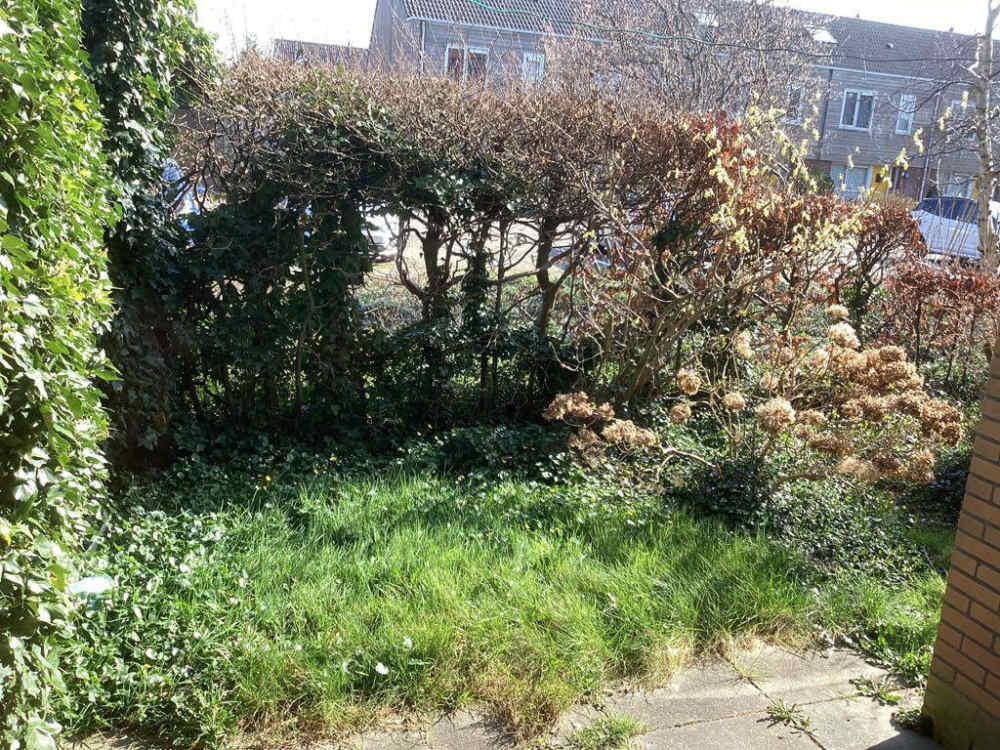 Van Heijningenstraat 11