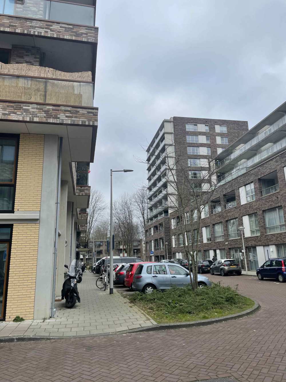 Zilverplevierstraat 41