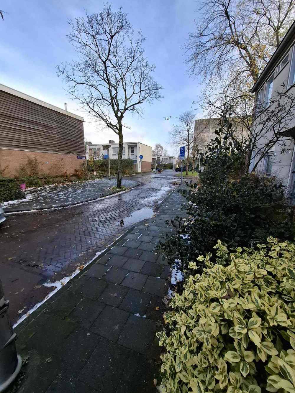 Bakhuys Roozeboomstraat 9