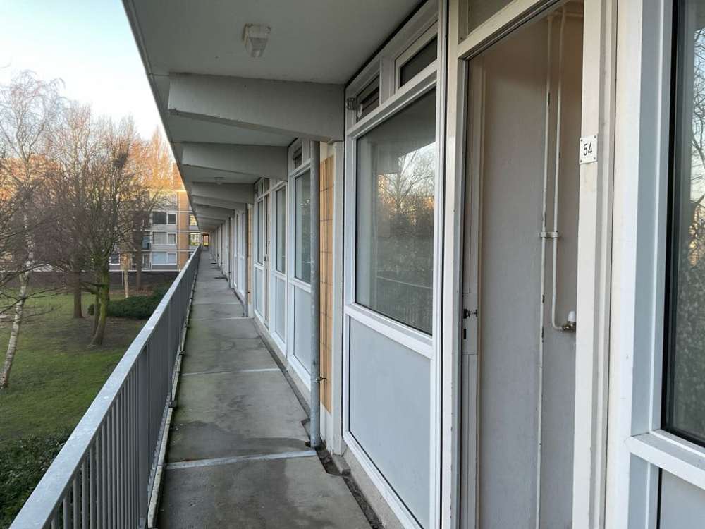 Suringarstraat 54, 1504 HN Zaandam, Nederland