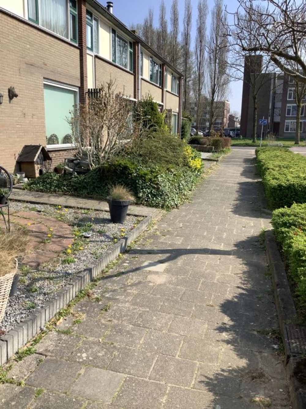 Busken Huetstraat 29