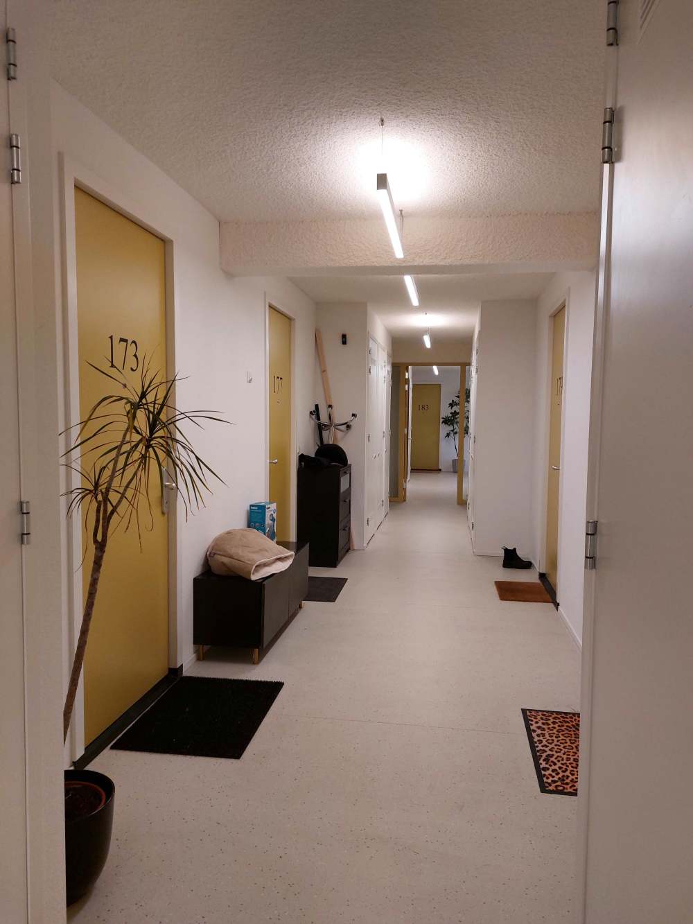 Mária Telkesstraat 173