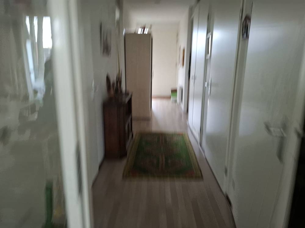 Statenjachtstraat 255