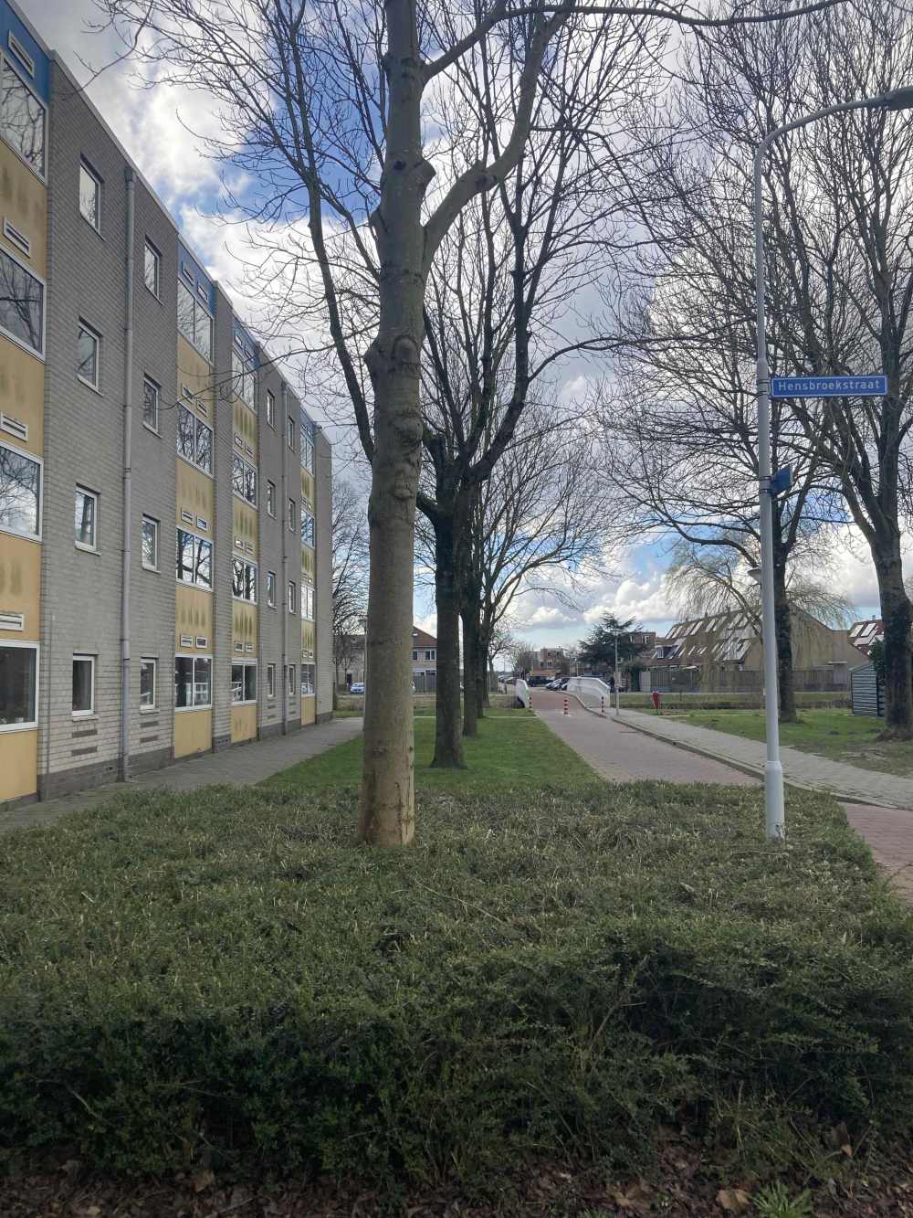 Elsbroekplantsoen 167