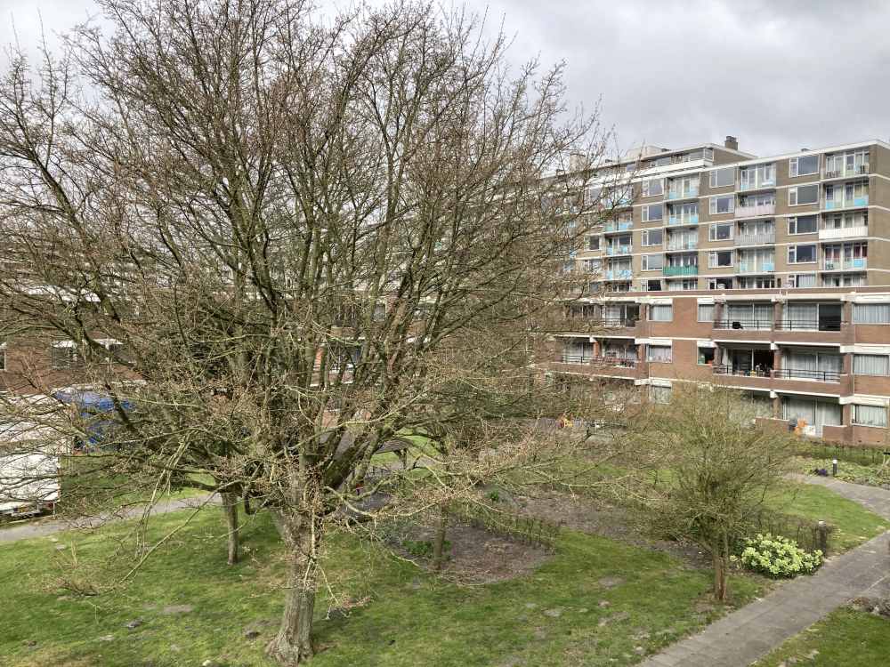 S.F. van Ossstraat 347