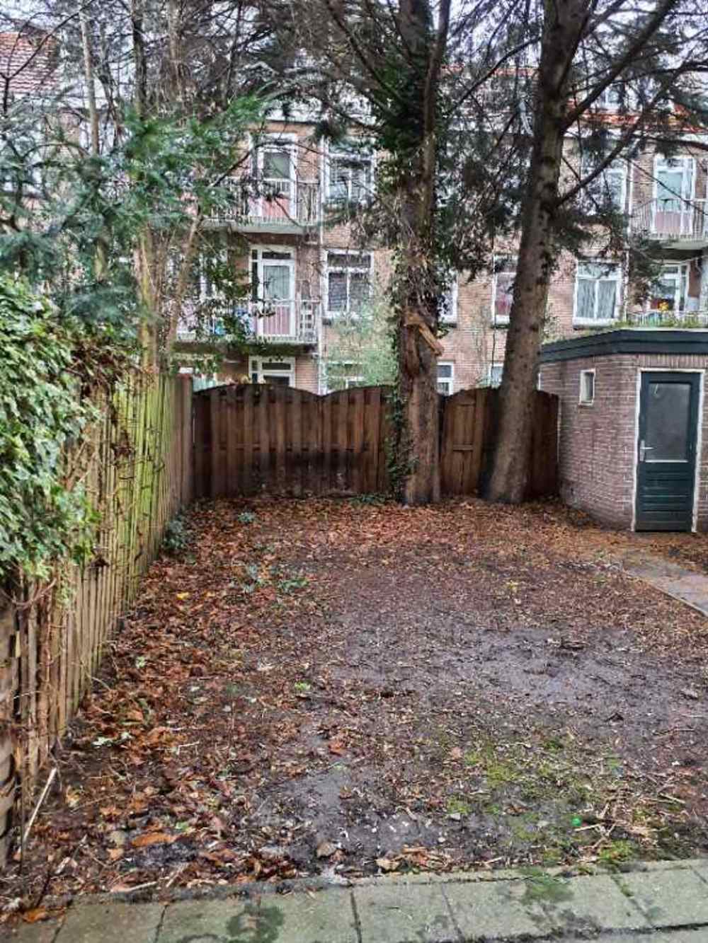 Willem Passtoorsstraat 55