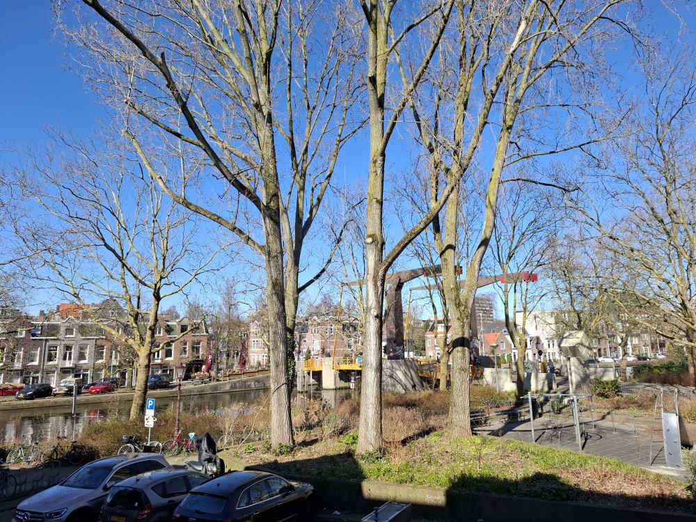 Schinkelhavenstraat 23