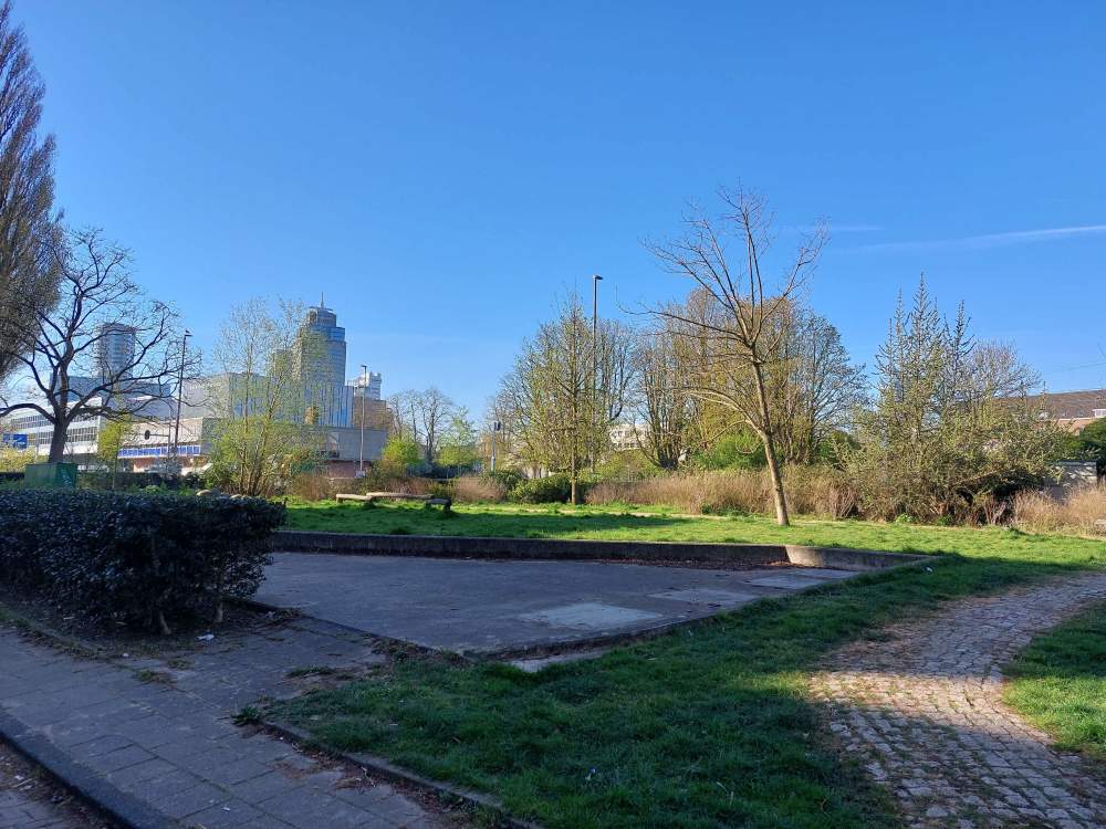 President Steynplantsoen 13