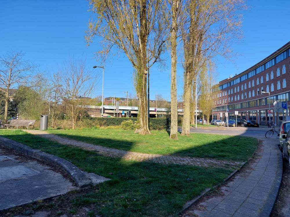 President Steynplantsoen 13