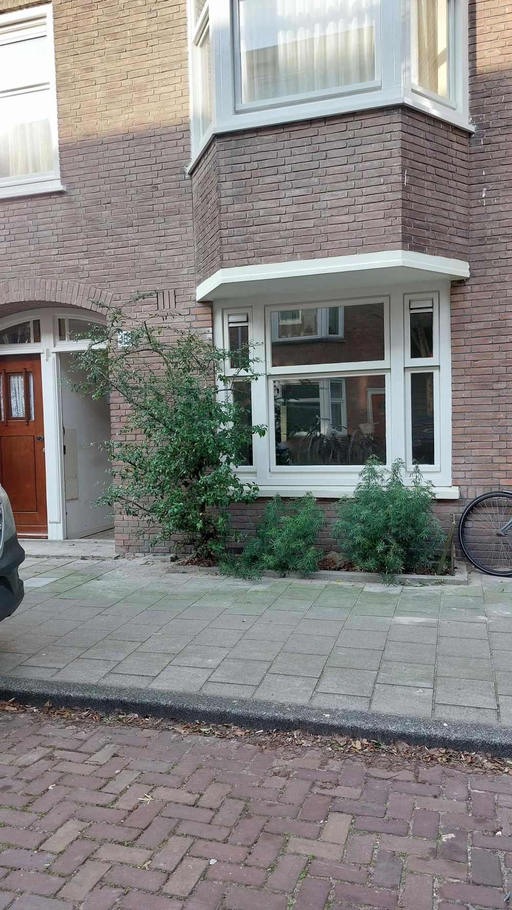 Alblasstraat 18