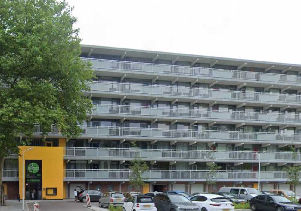 Jan Steijnstraat 133