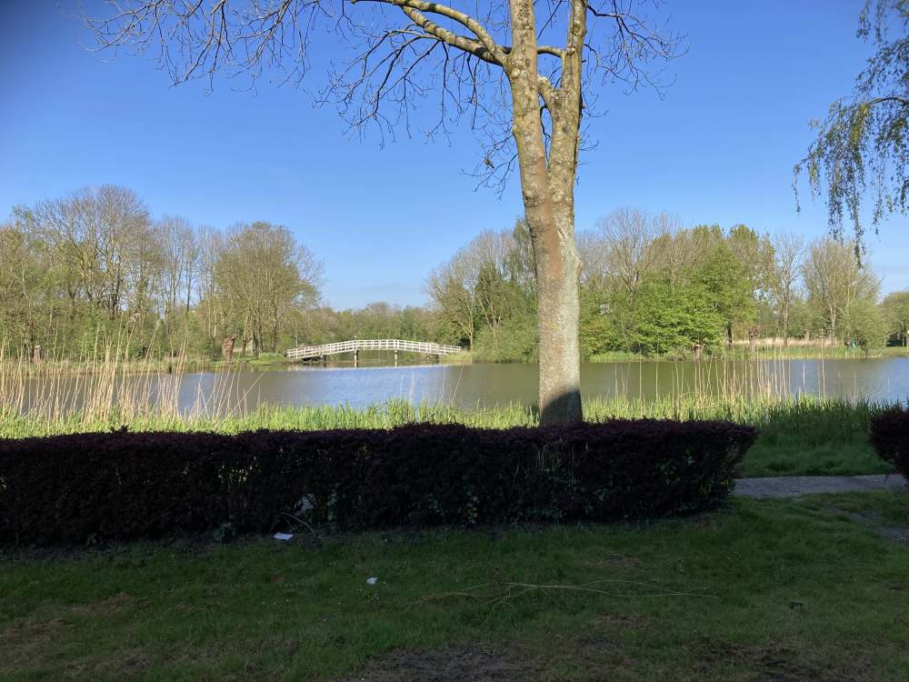 Albert Meijnsstraat 105