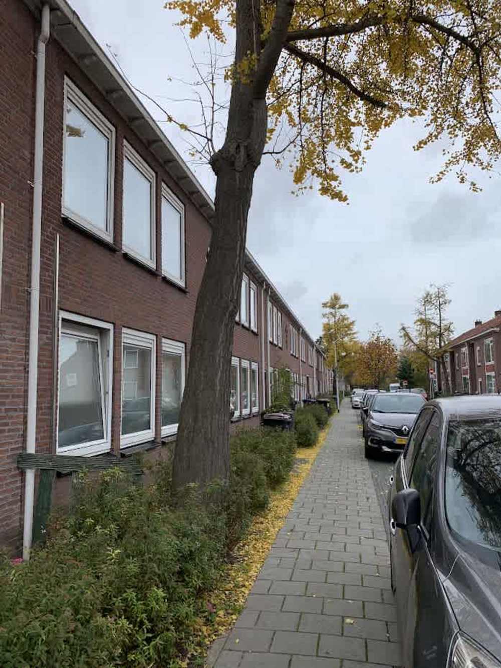 Jacob Rekstraat 65