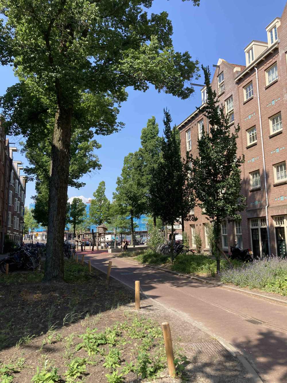 Hasebroekstraat 102III