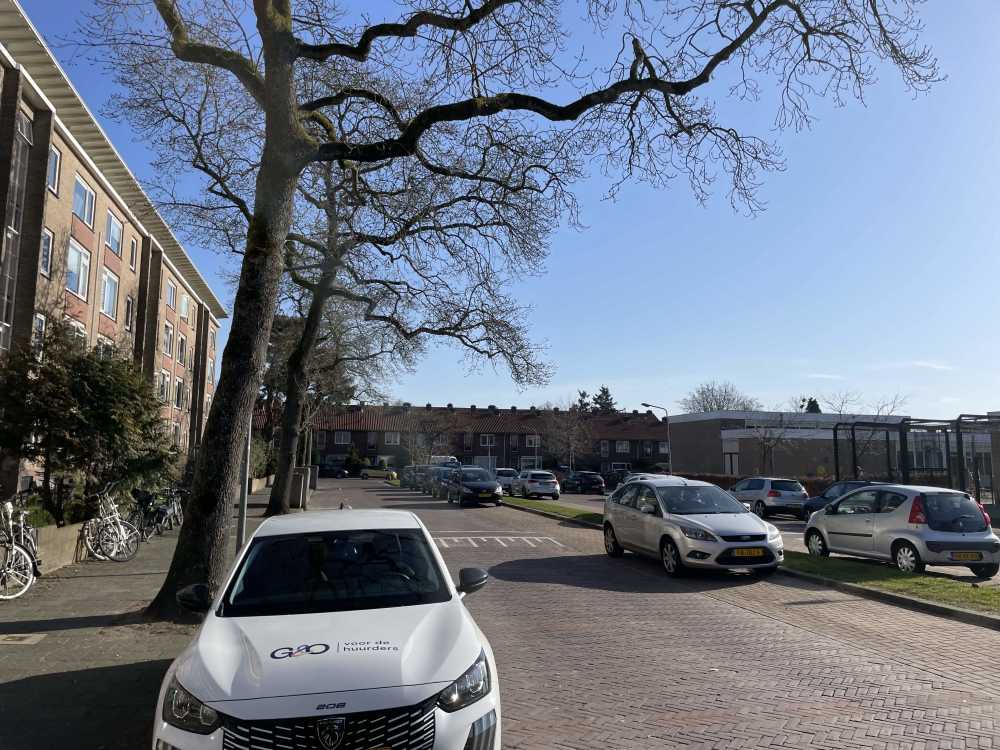 Peter Planciusplein 33