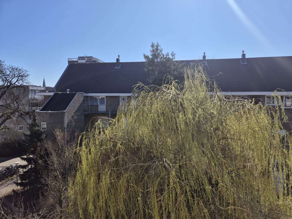 Arie Biemondstraat 140