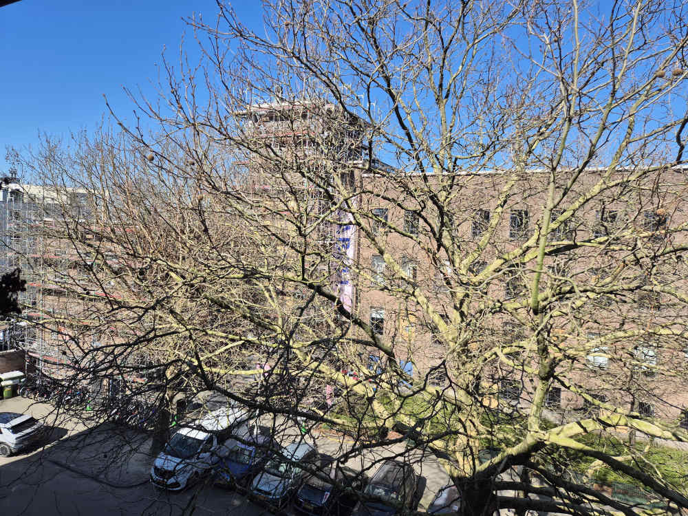 Arie Biemondstraat 140