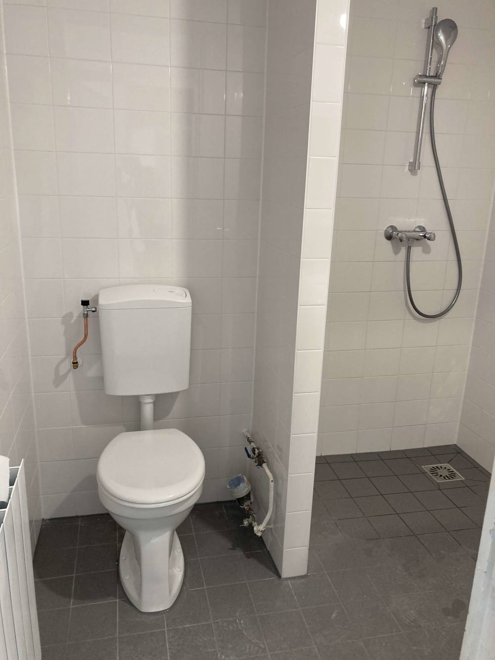 Koekoeksbloemweg 161