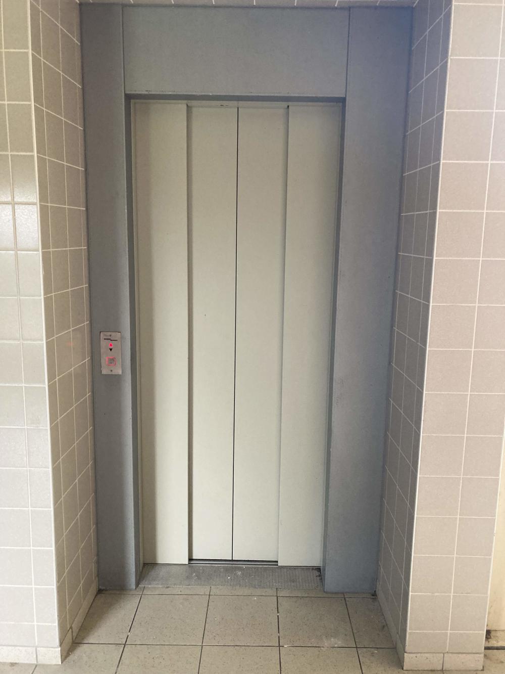 Koekoeksbloemweg 161