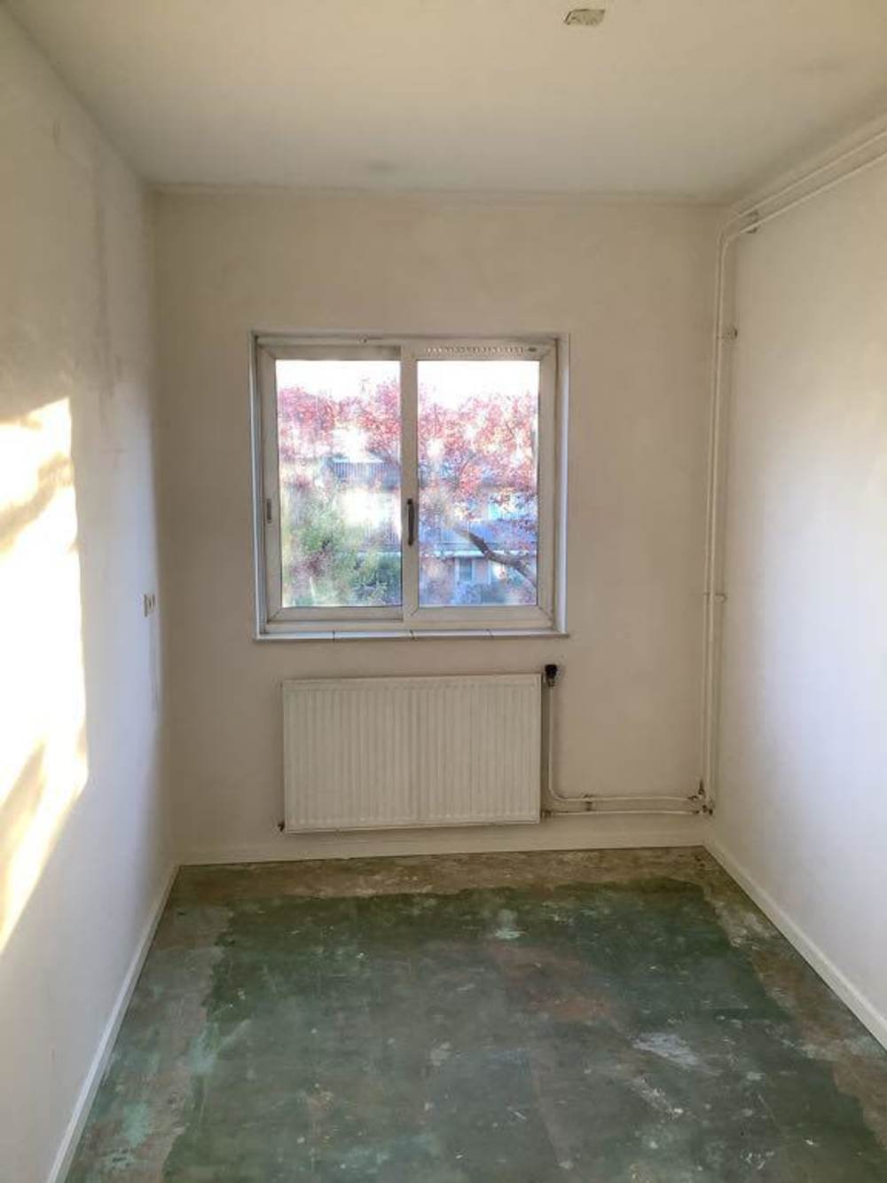 David Wijnkoopstraat 31