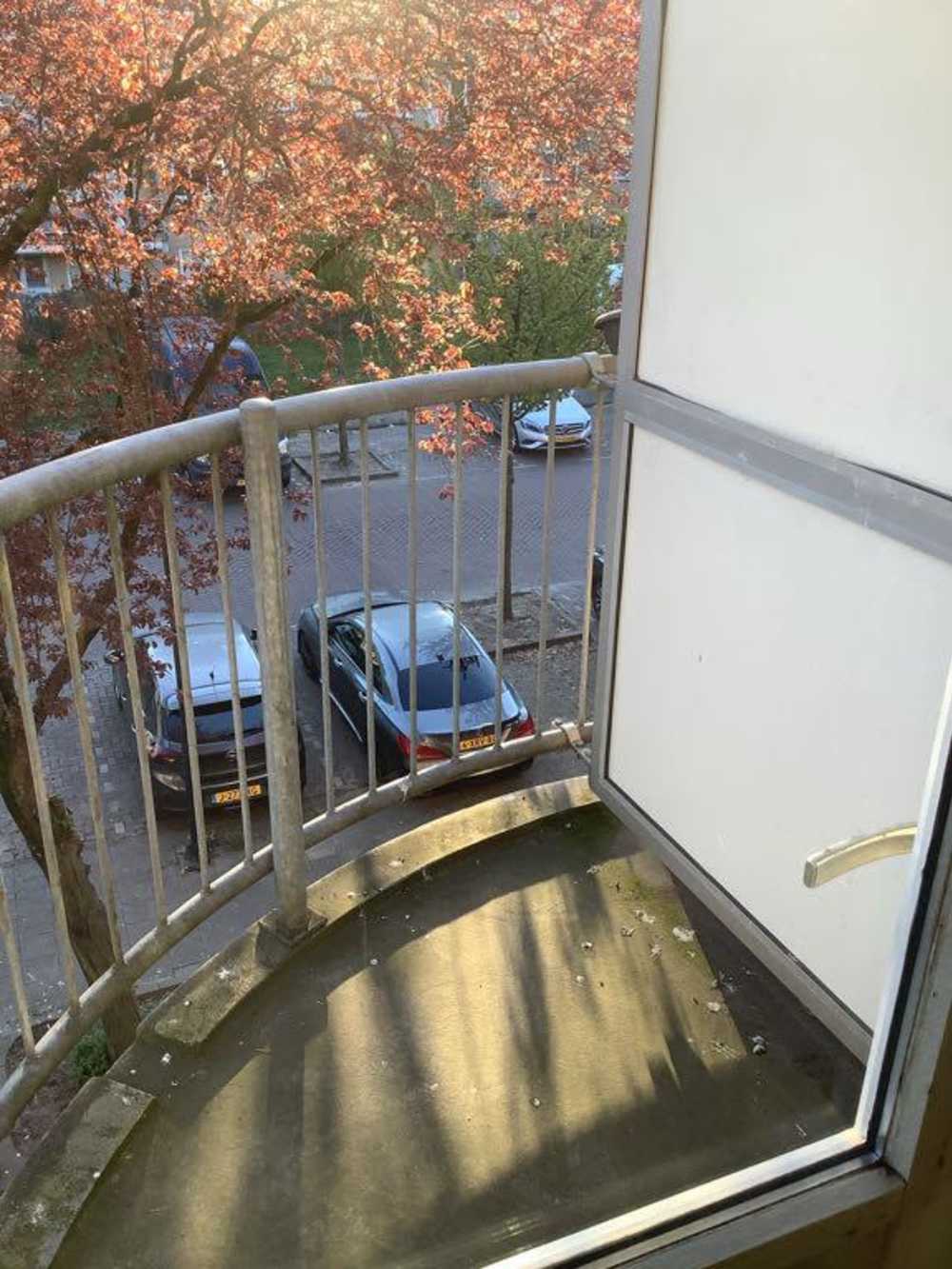 David Wijnkoopstraat 31