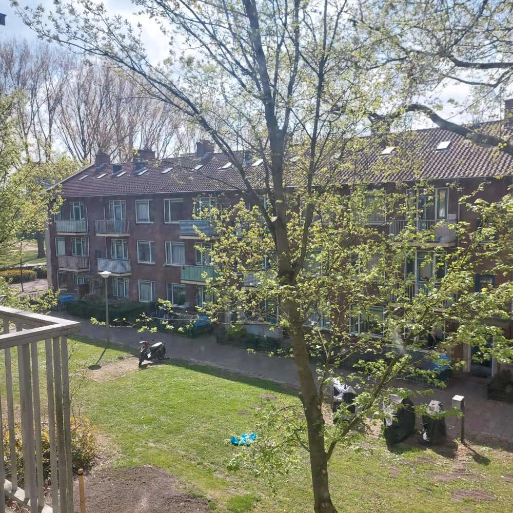 Burgemeester van de Pollstraat 130