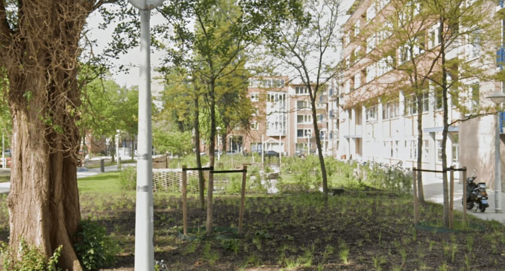 Sumatraplantsoen 21A