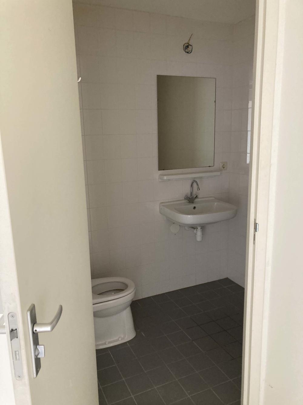 Hasebroekstraat 102III