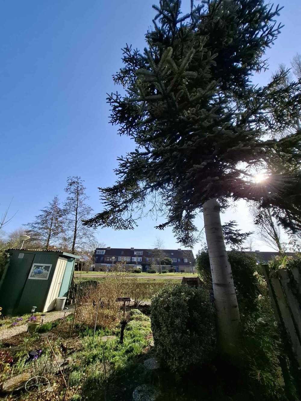 Wethouder Steinmetzstraat 67