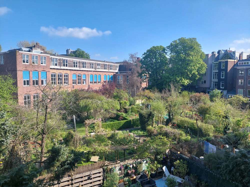 Eerste Jacob van Campenstraat 11