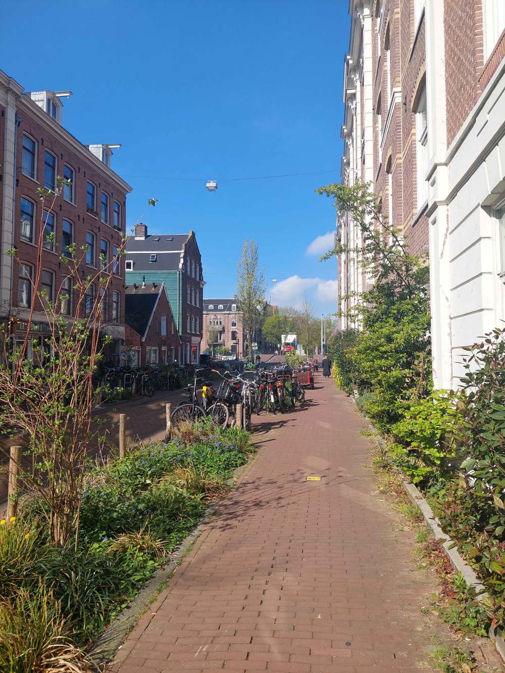 Eerste Jacob van Campenstraat 11