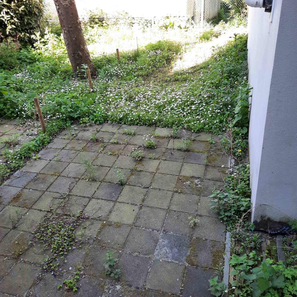 Wittenburgergracht 221