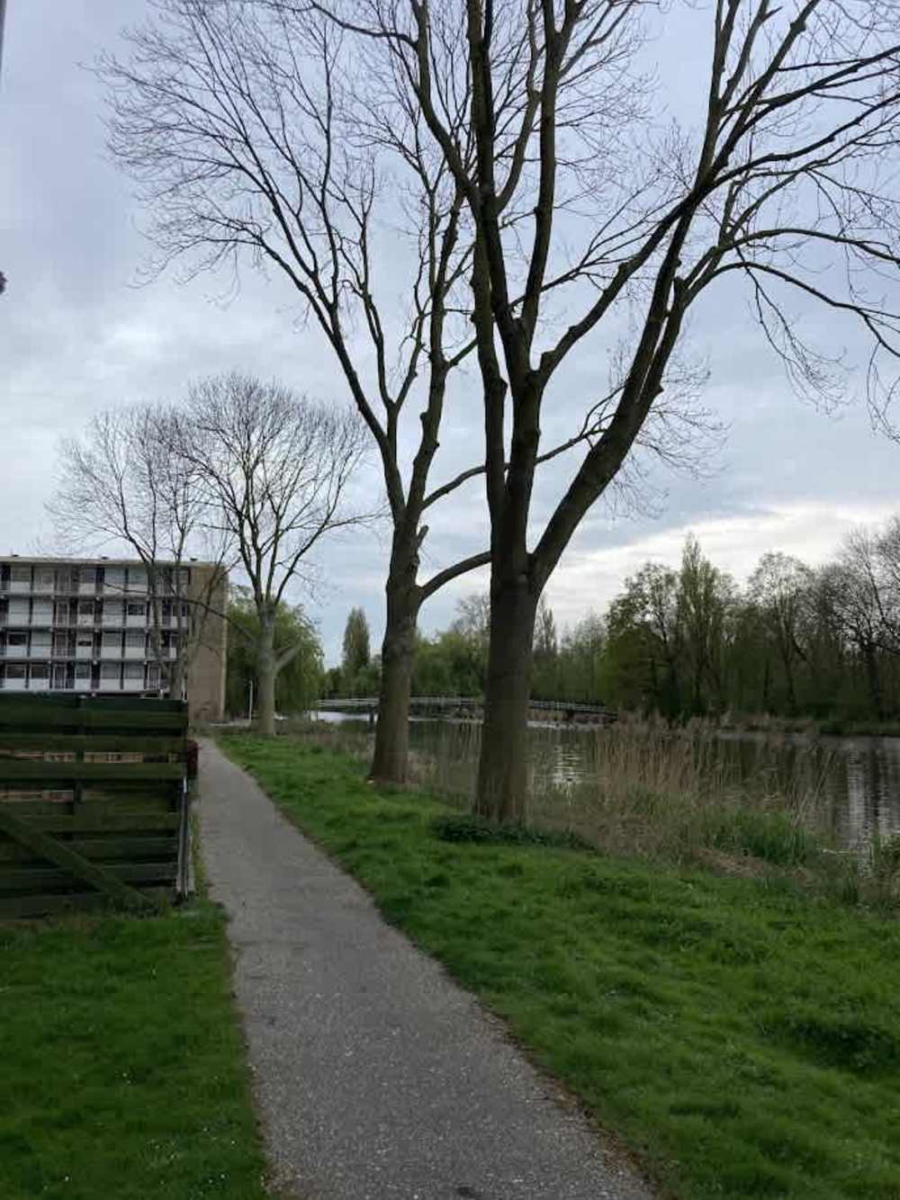 Albert Meijnsstraat 105