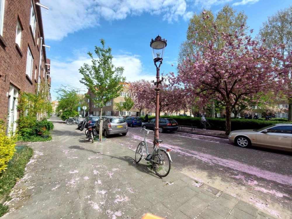 Thérèse Schwartzeplein 12