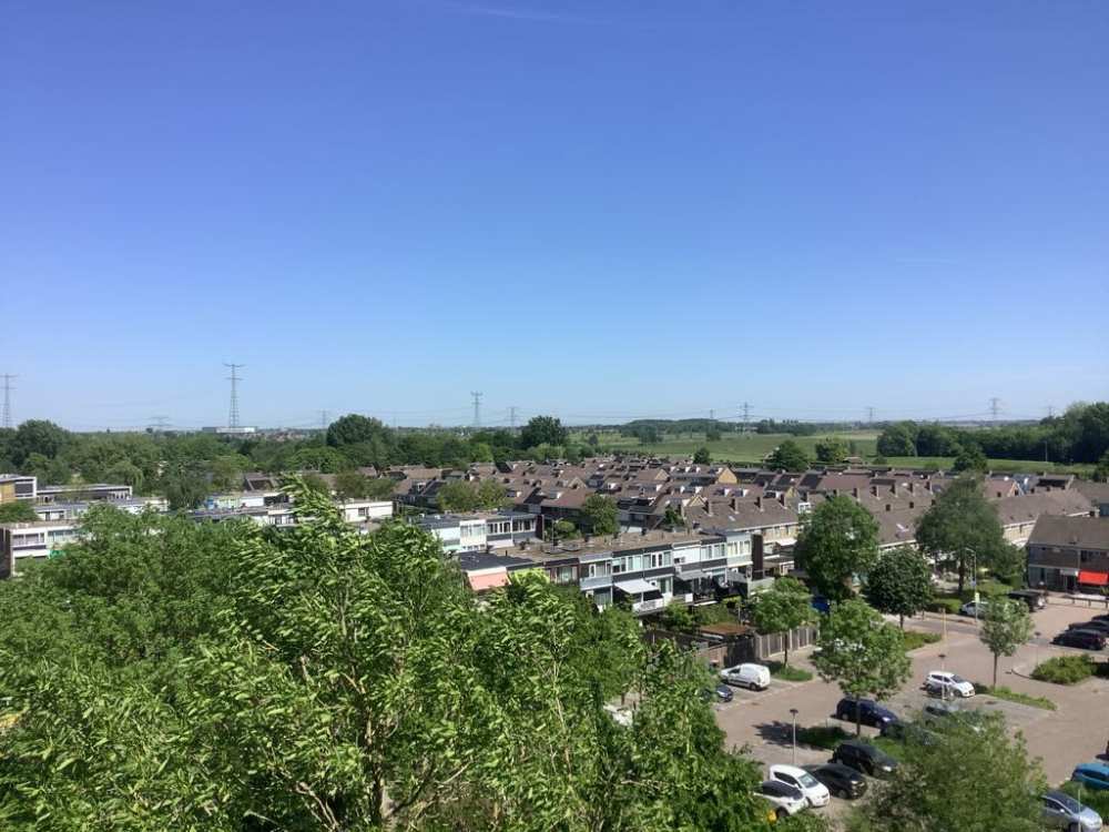 Pieter de Hoochplaats 254