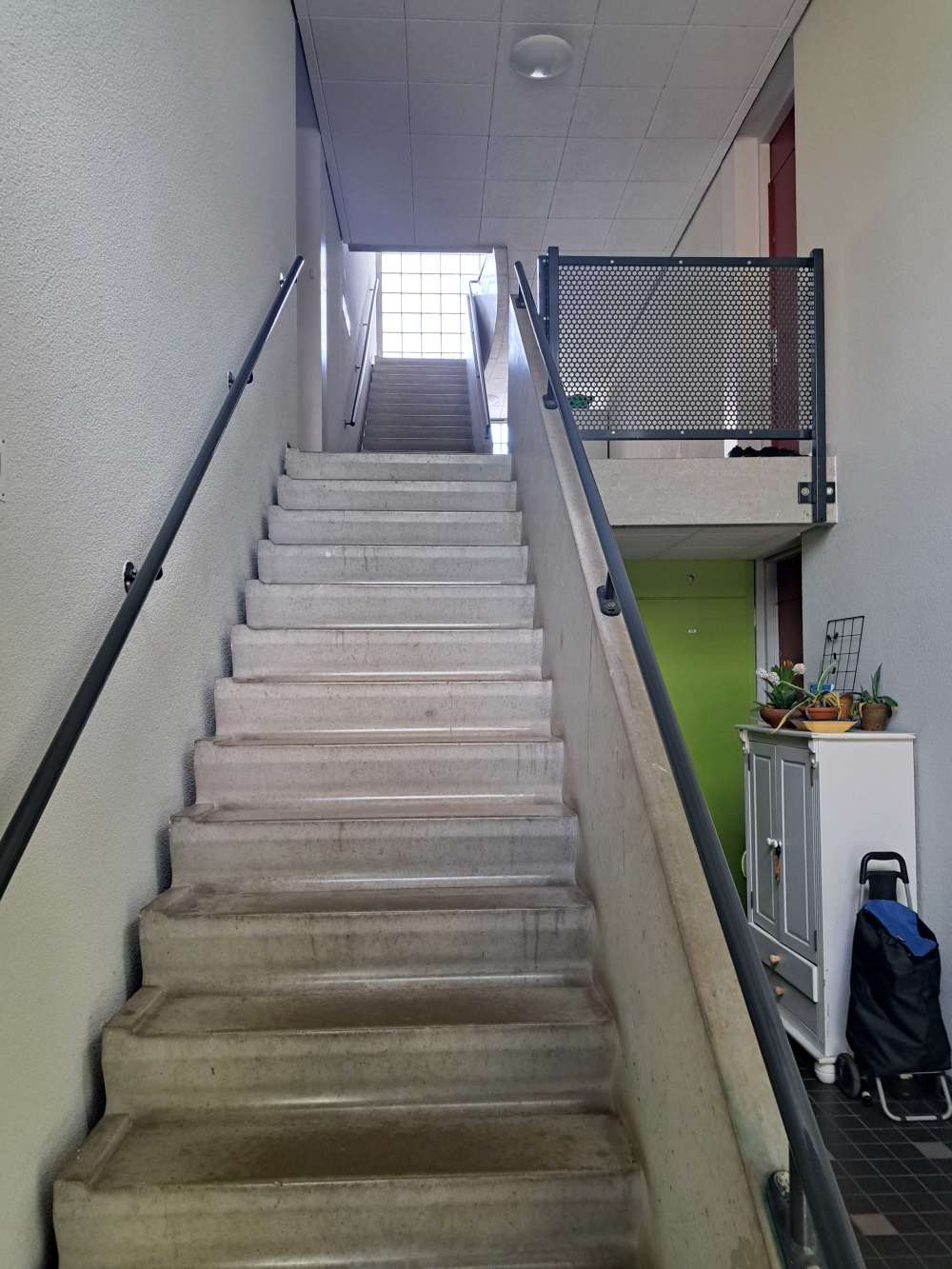 Woltera van Reesstraat 101