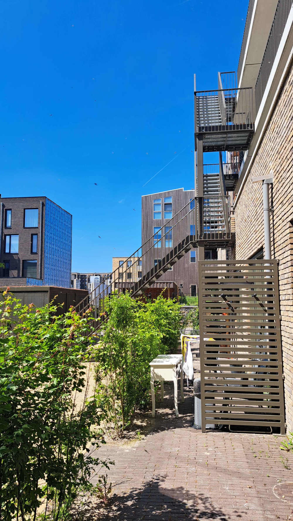 Frank Martinus Arionstraat 16