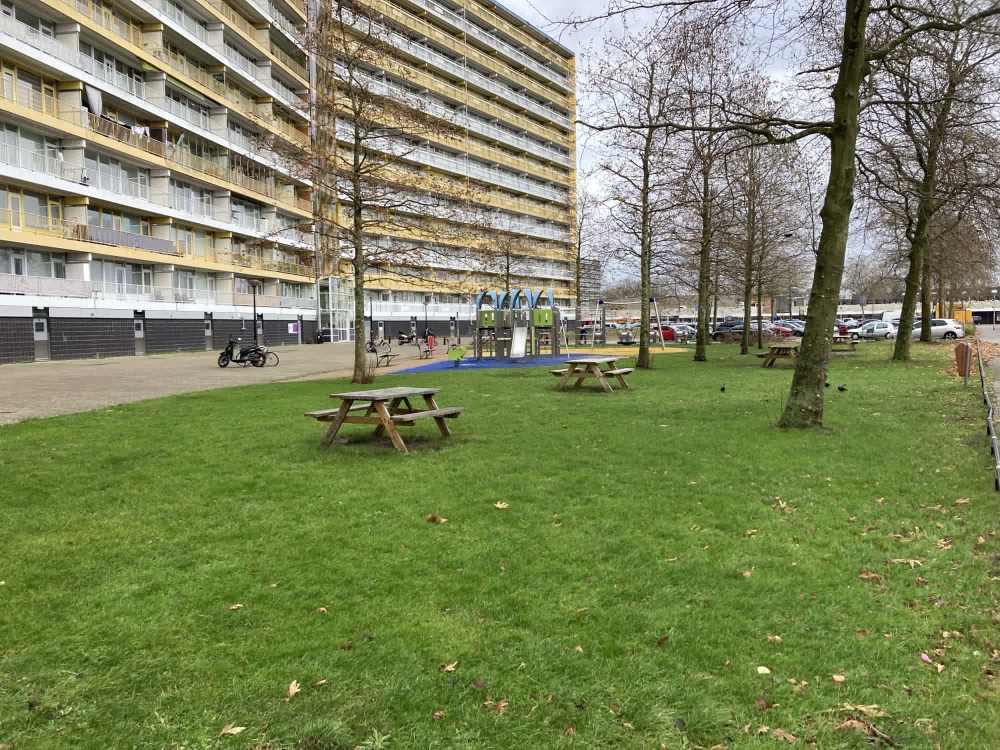 Pharus 296, 1503 EA Zaandam, Nederland