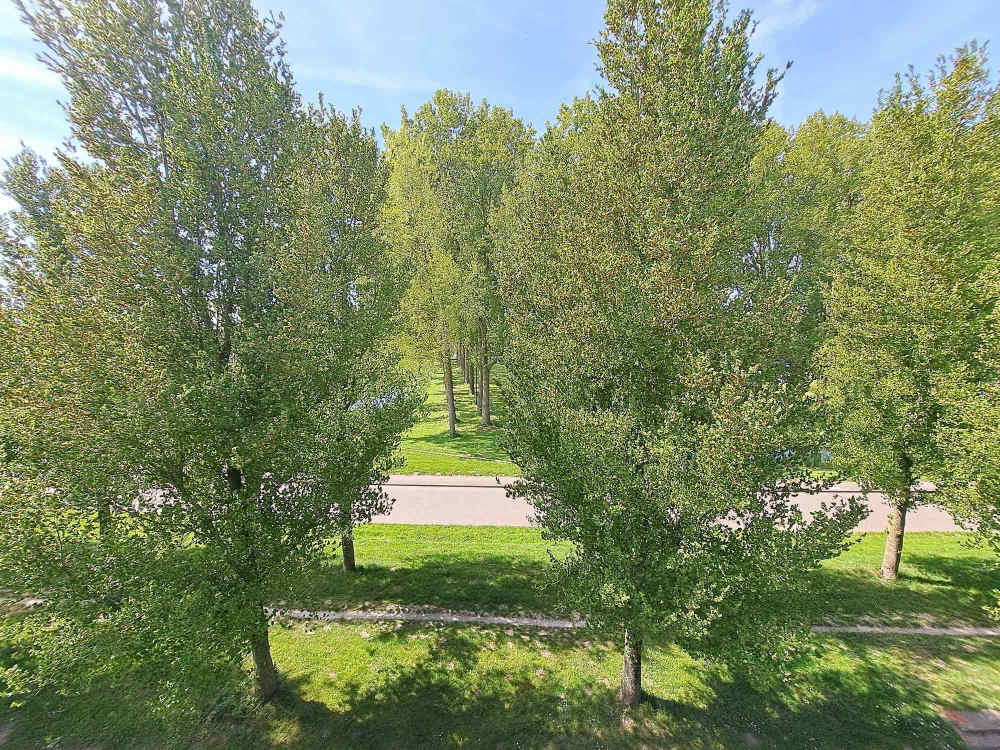 Wessel Couzijnstraat 58