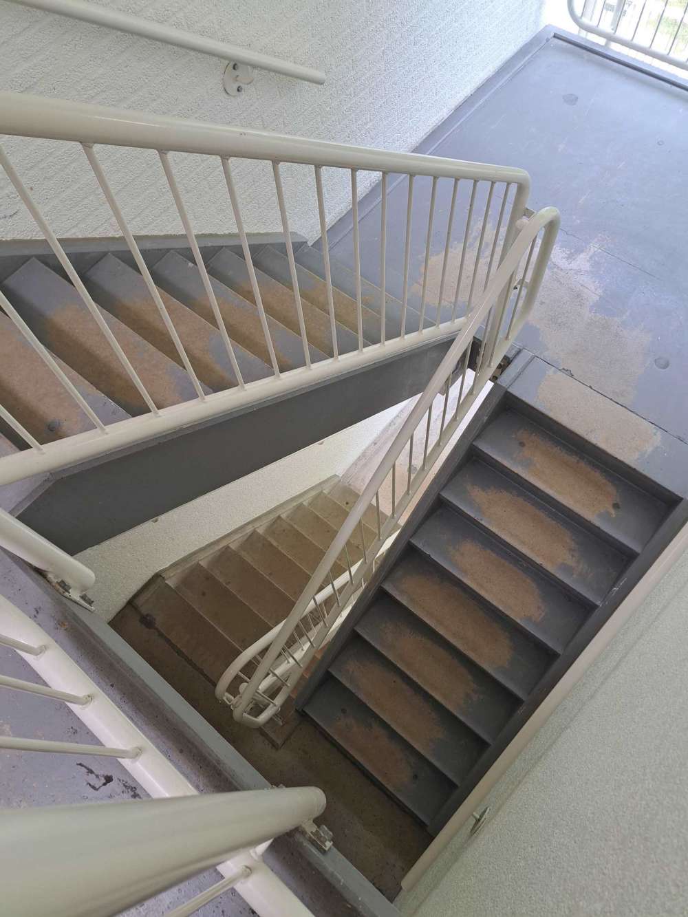 Daniël Defoelaan 51