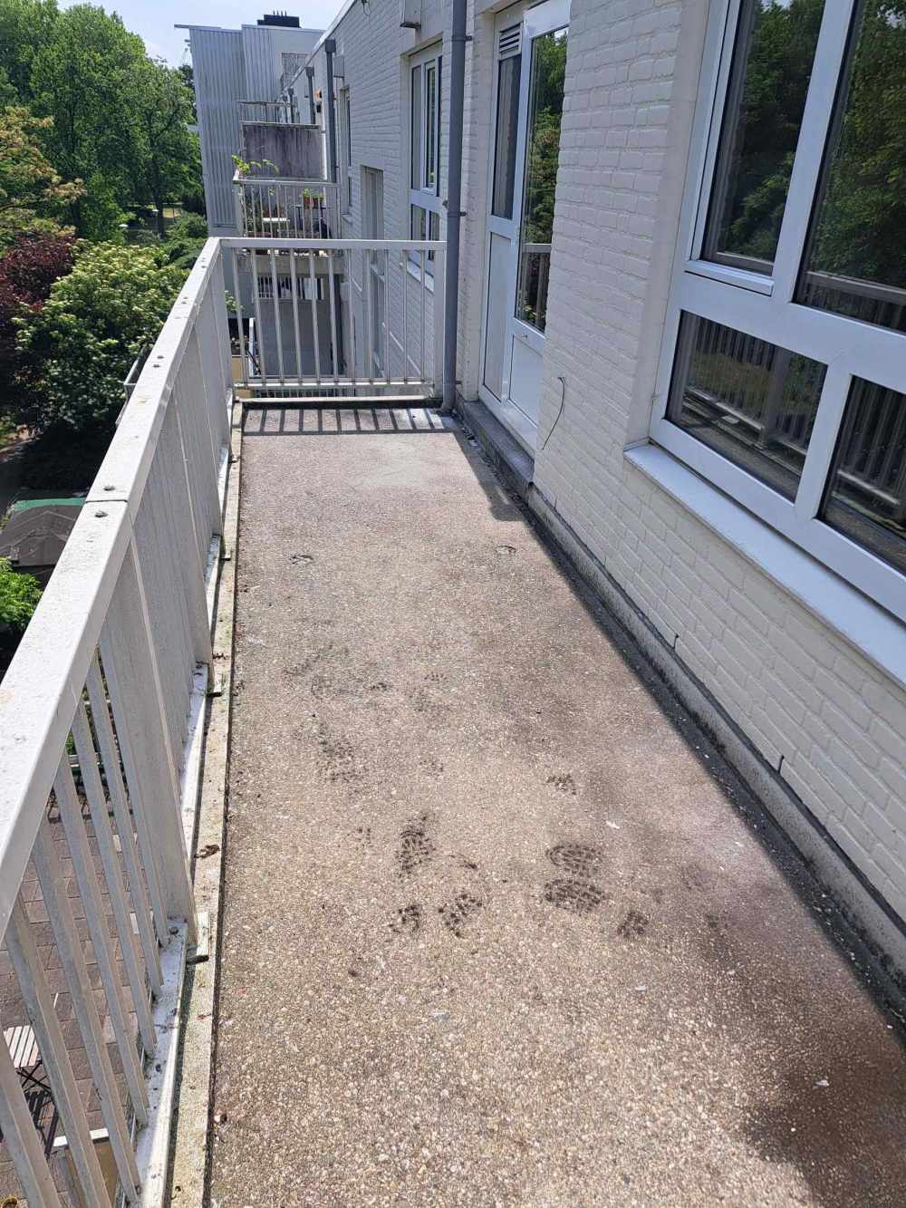 Daniël Defoelaan 51