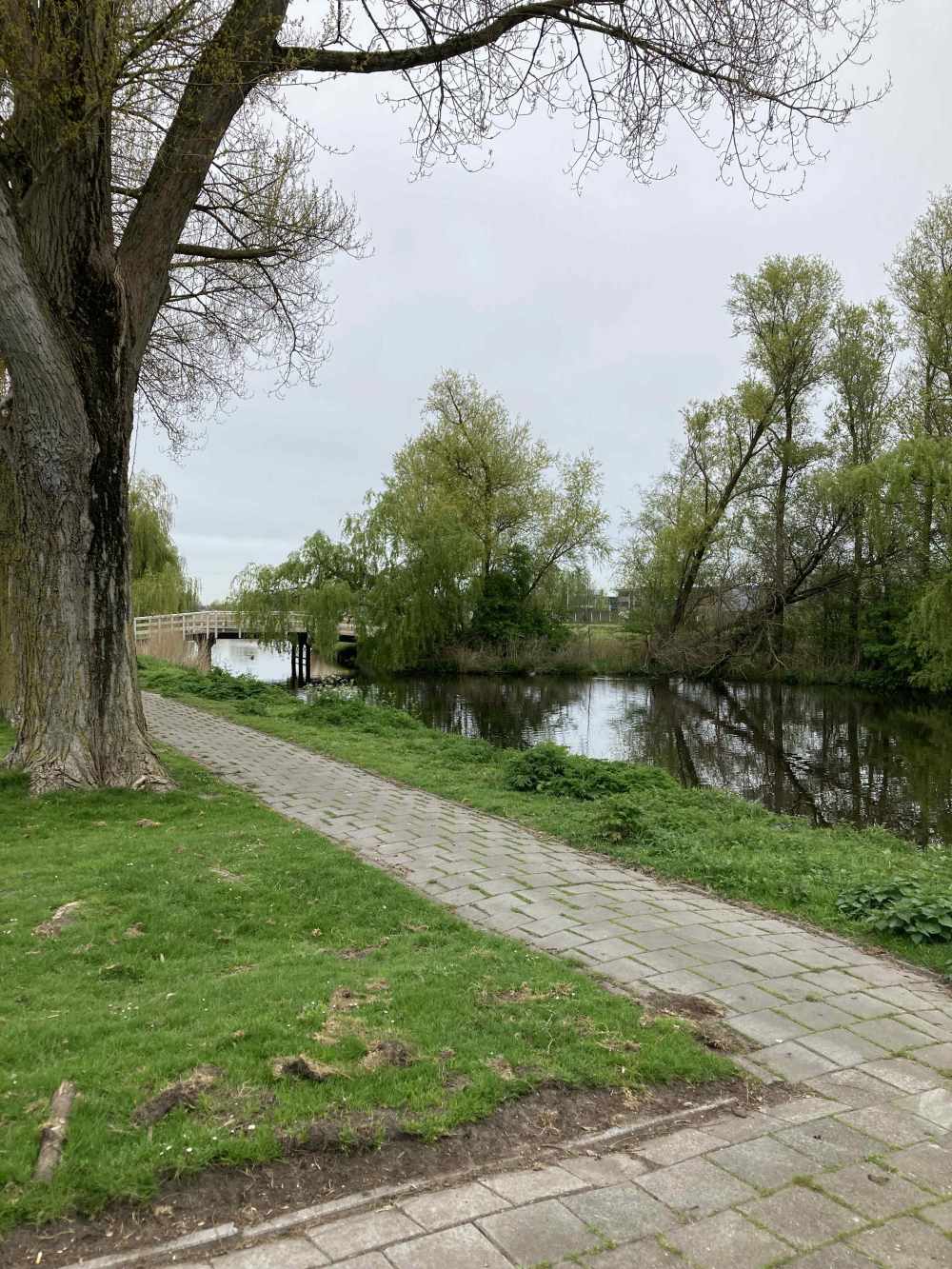 Herman Gorterstraat 350