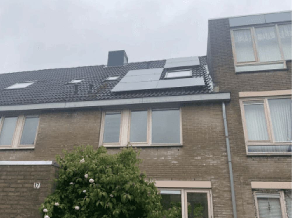 Schoener 17