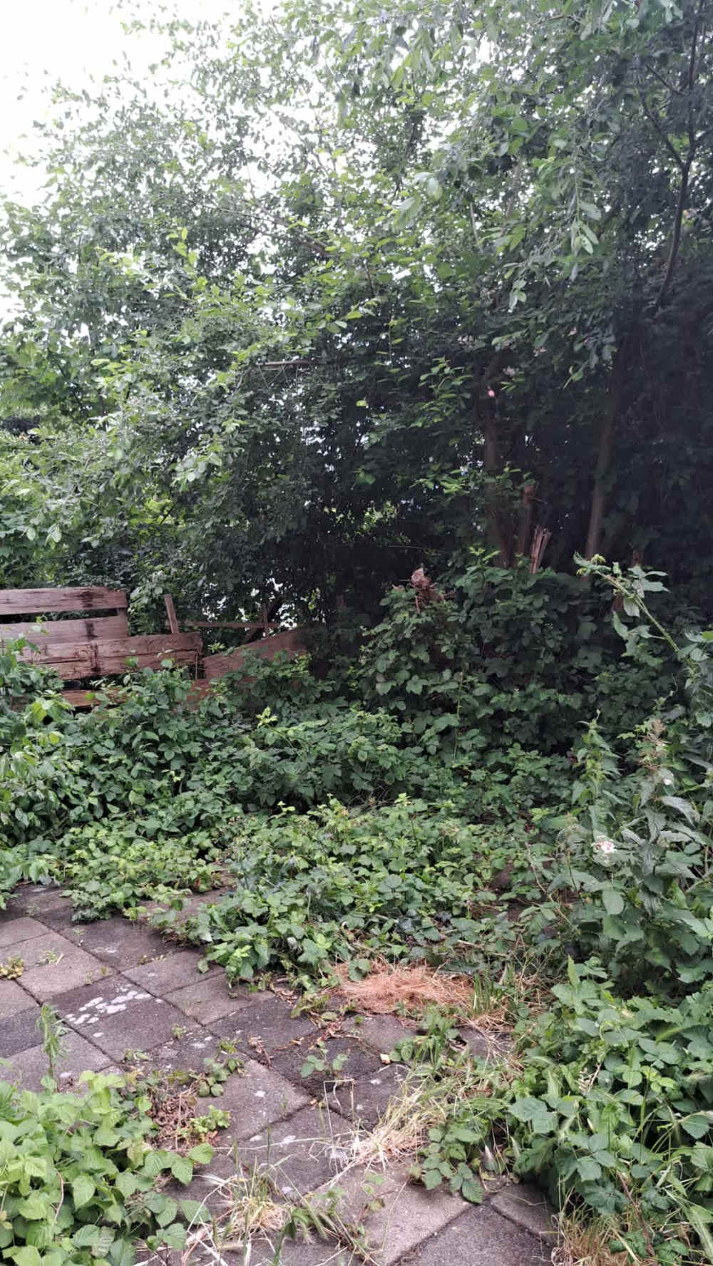 Rosendaalstraat 32HS