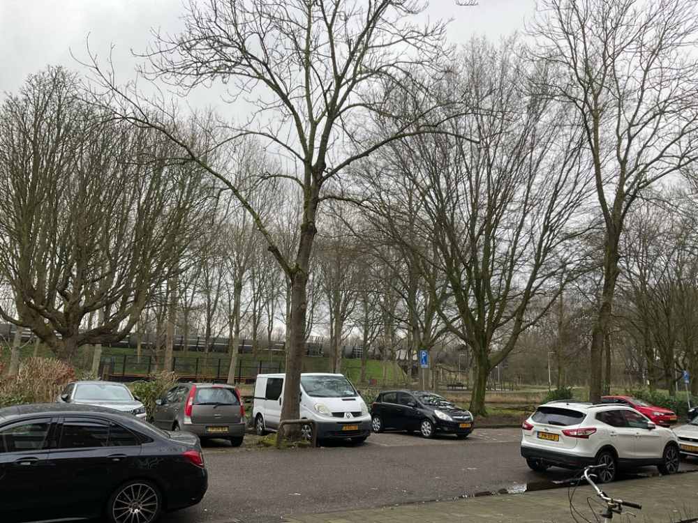 Waalenburgsingel 219