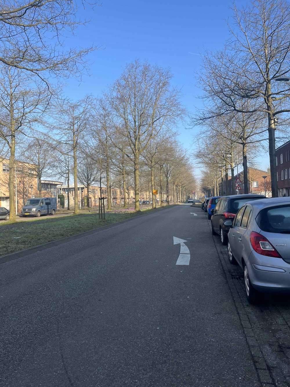 Laan van Vlaanderen 107