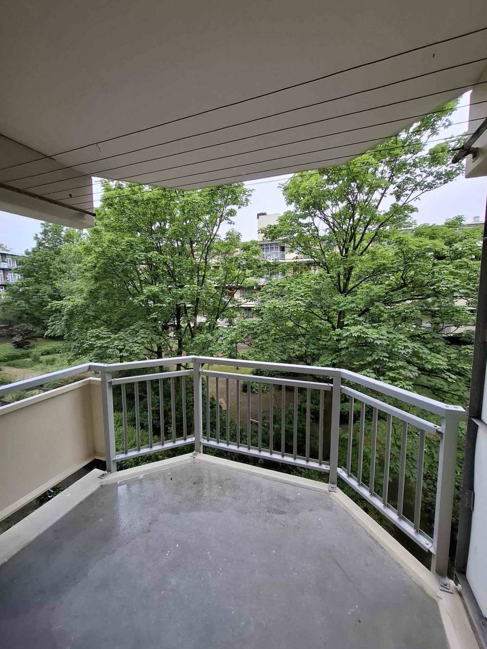 Grote Wittenburgerstraat 19B