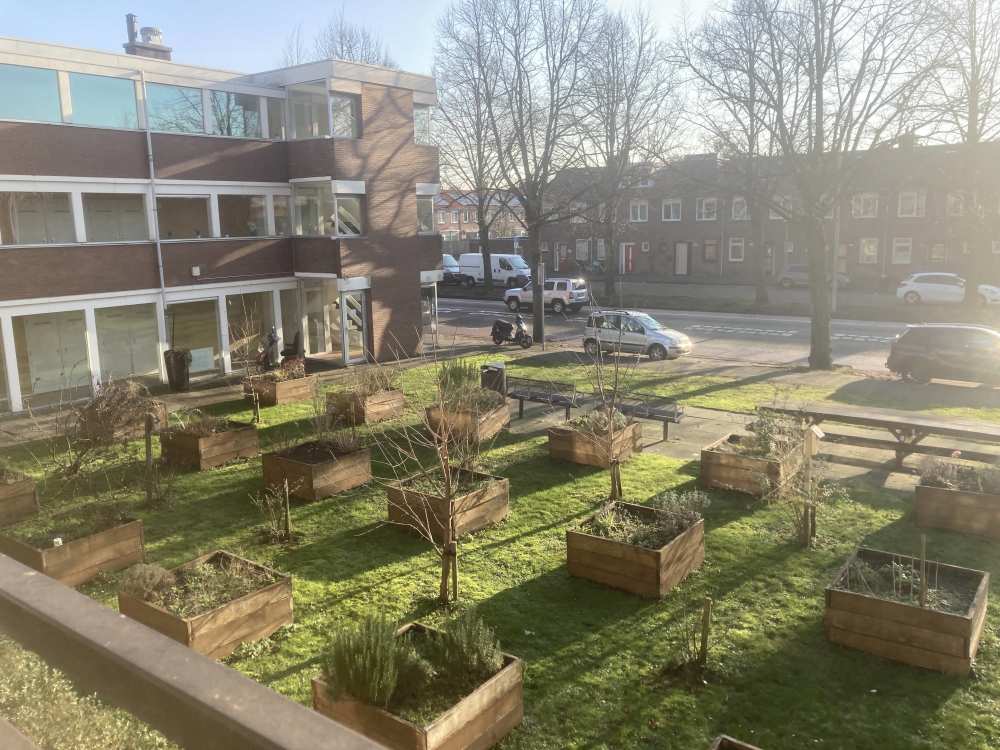 S.F. van Ossstraat 403