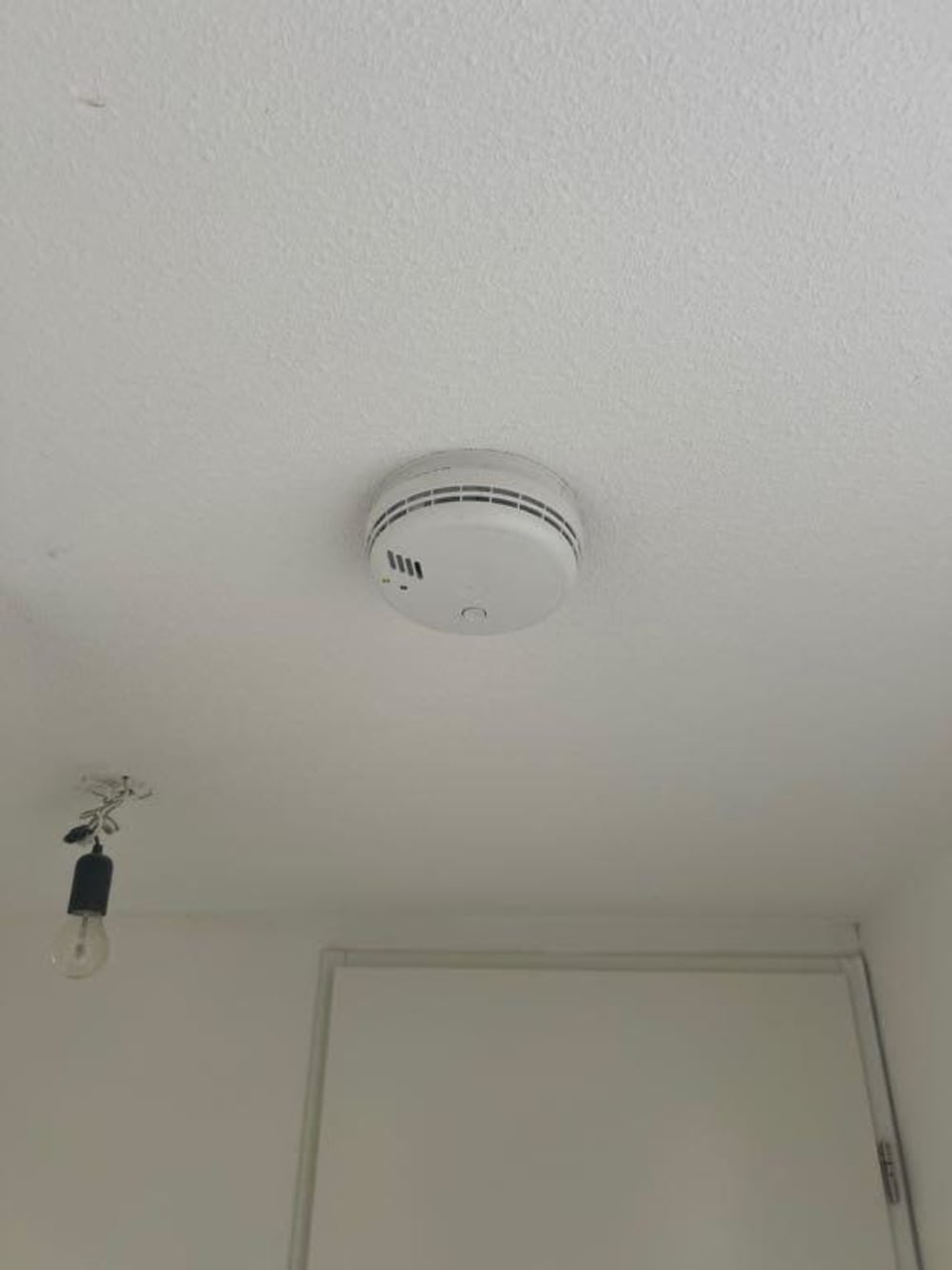 Hilbert van Dijkhof 12II