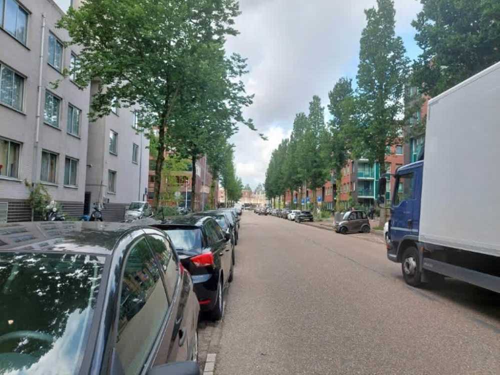 Borneolaan 170